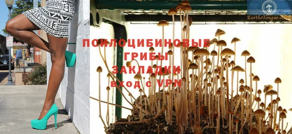 МДПВ Аркадак