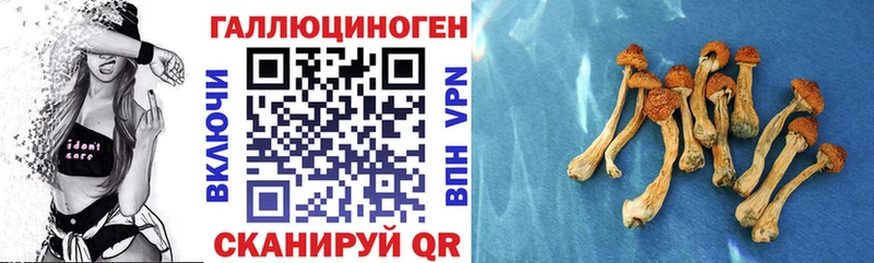 наркота  Семикаракорск  Псилоцибиновые грибы мухоморы 